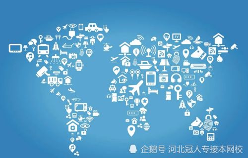 河北專接本計算機及計算機網(wǎng)絡工程專業(yè)深度解析