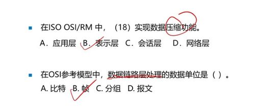 計算機網絡體系架構在網絡工程師成長之路中的核心地位與實踐探索